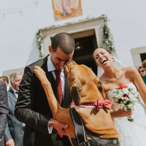 Fotógrafo de casamento João Terra (Aveiro, Portugal) Casamento Rita & Pedro