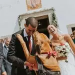 Fotógrafo de casamento João Terra (Aveiro, Portugal) | Casamento Rita e Pedro